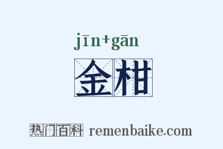 金柑是什么意思的图片